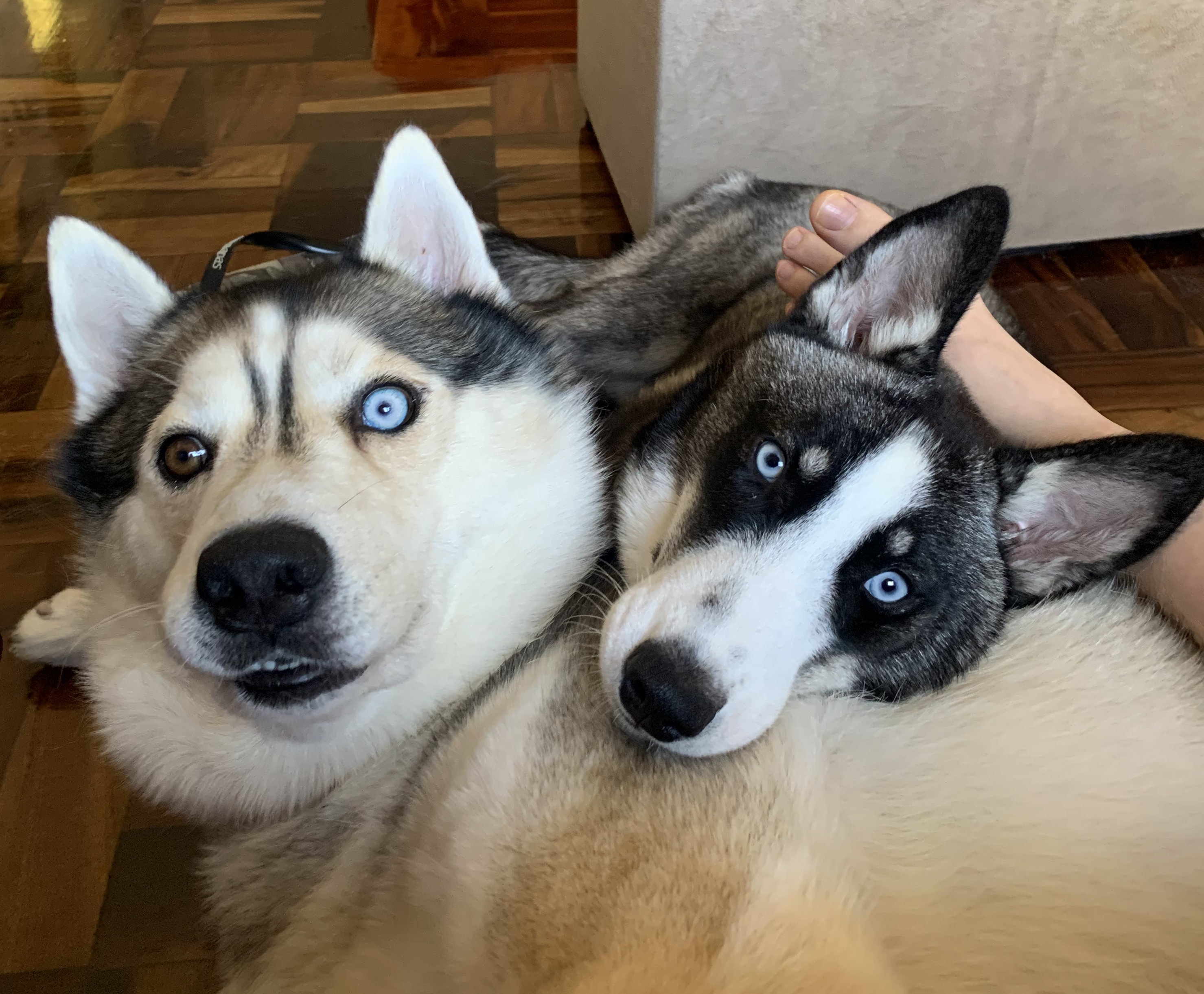 Odin and Malu
